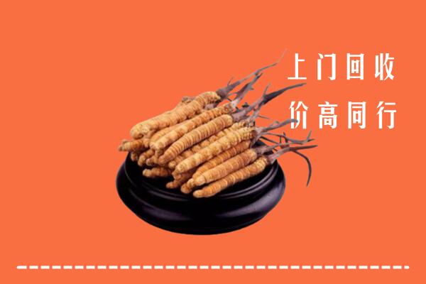 附近收购：滨州市邹平回收散虫草